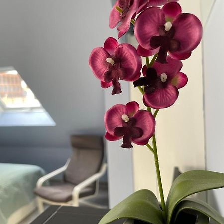 Deluxe Apartment Wiesbaden Zewnętrze zdjęcie