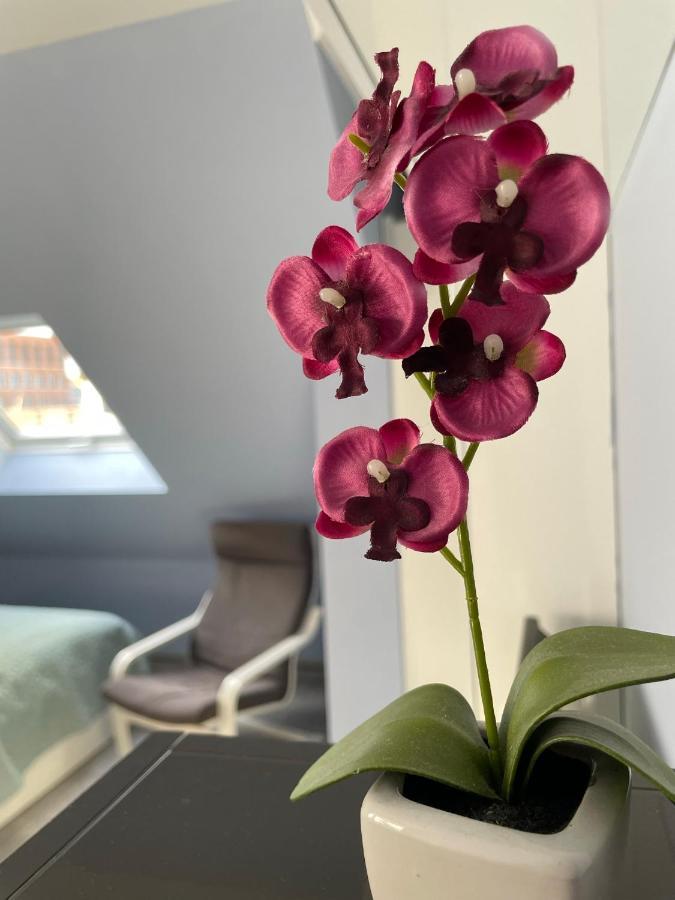 Deluxe Apartment Wiesbaden Zewnętrze zdjęcie